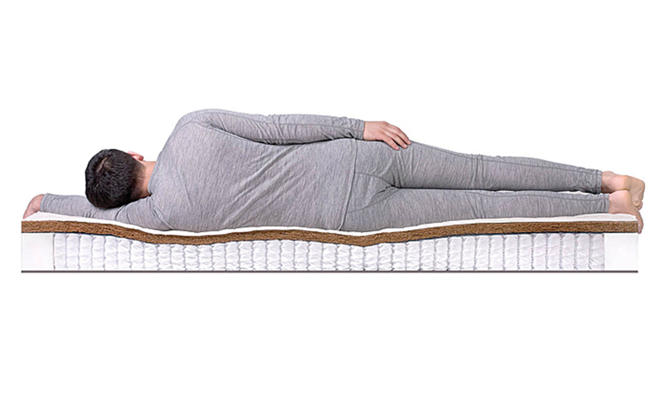 DreamLine Kombi 1 S1000 фото 4